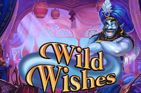 Wild Wishes Mega Win